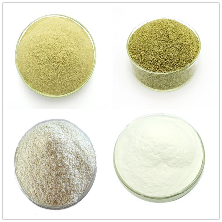 What is sodium alginate?