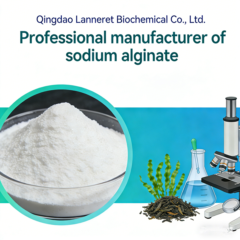 Buy Sodium Alginate in Bulk