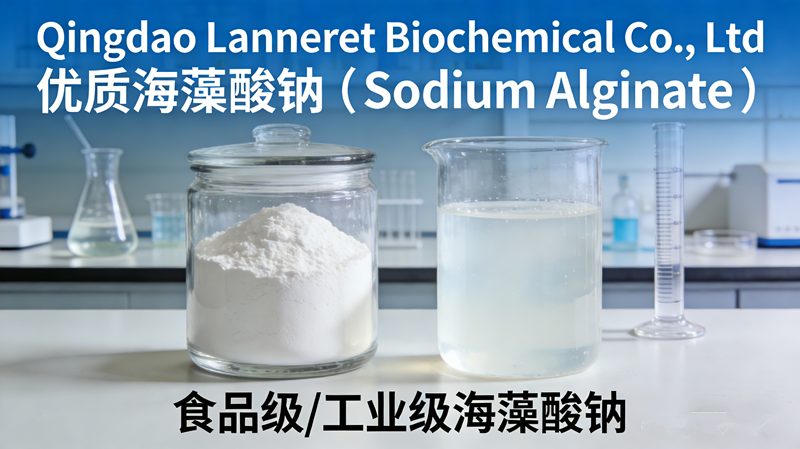 Sodium Alginate 101: Uses, Benefits & Trusted Global Supplier | Lanneret Biochemical