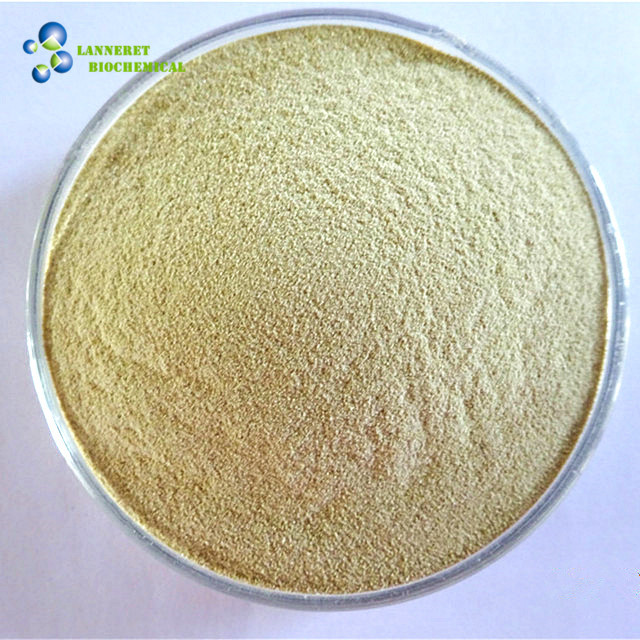 Industrial Grade Sodium Alginate: Industrial Applications & Bulk Supply | Lanneret Biochemical