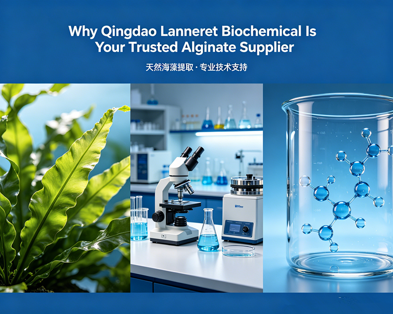 Trusted Sodium Alginate Manufacturer & Global Supplier | Qingdao Lanneret Biochemical