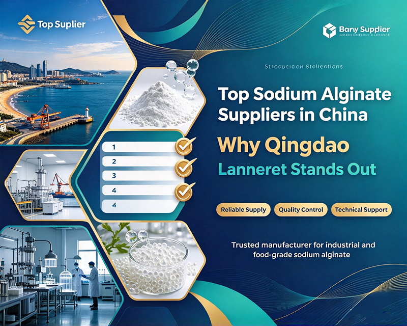 Top Sodium Alginate Suppliers in China: Why Qingdao Lanneret Stands Out